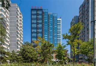 淄博高耐磨钢丝绳芯输送带