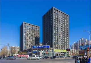 湖南颗粒坚果酸奶粉菌种