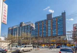 定子扁线绕线机厂家